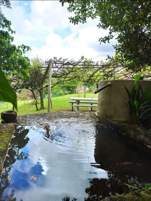 פונטה-ודרה A Vina De Lina. Turismo Rural Con Piscina Y Finca. מראה חיצוני תמונה
